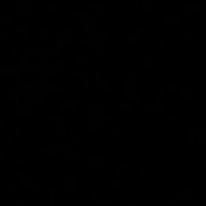 Meet your Posher, Braxton